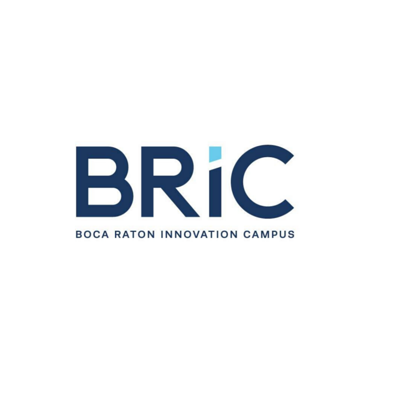 bric 1 768x768
