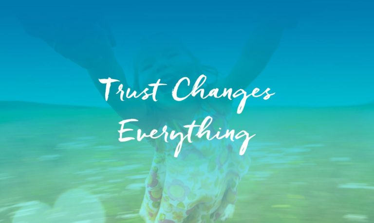 12484570 10153842791896880 154303554957279163 o 768x459