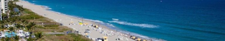 73185603 544083956371973 265973451896913920 n 768x143