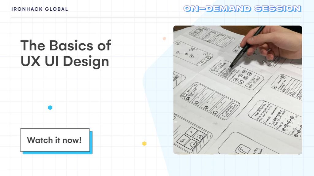 The Basics of UX UI Design