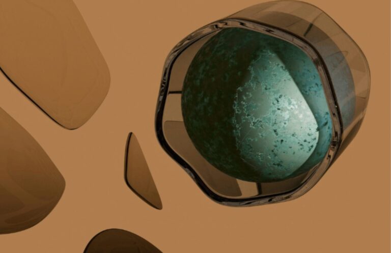 Website main image 6 1 768x497